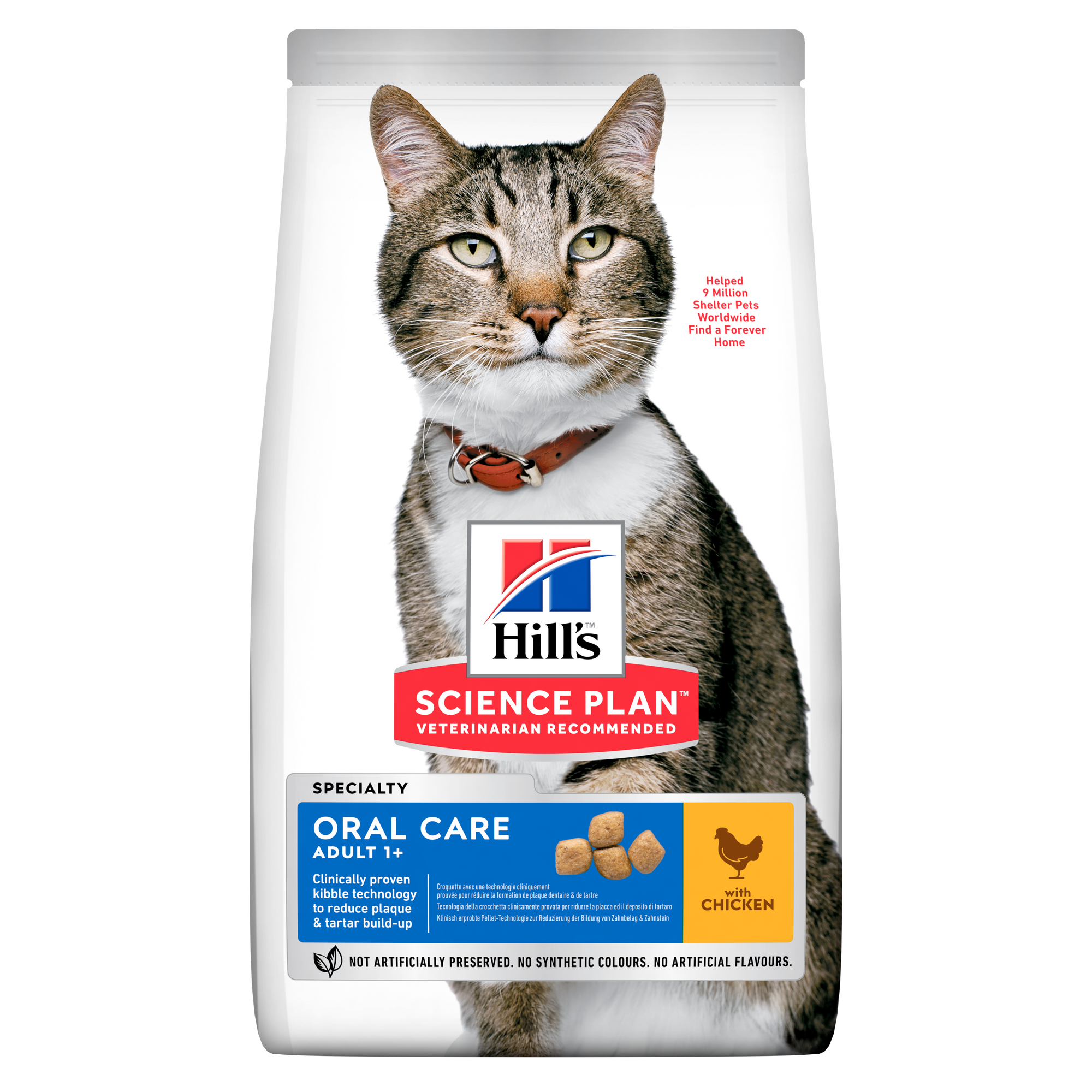 Oral Care Adult kattefoder Packshot