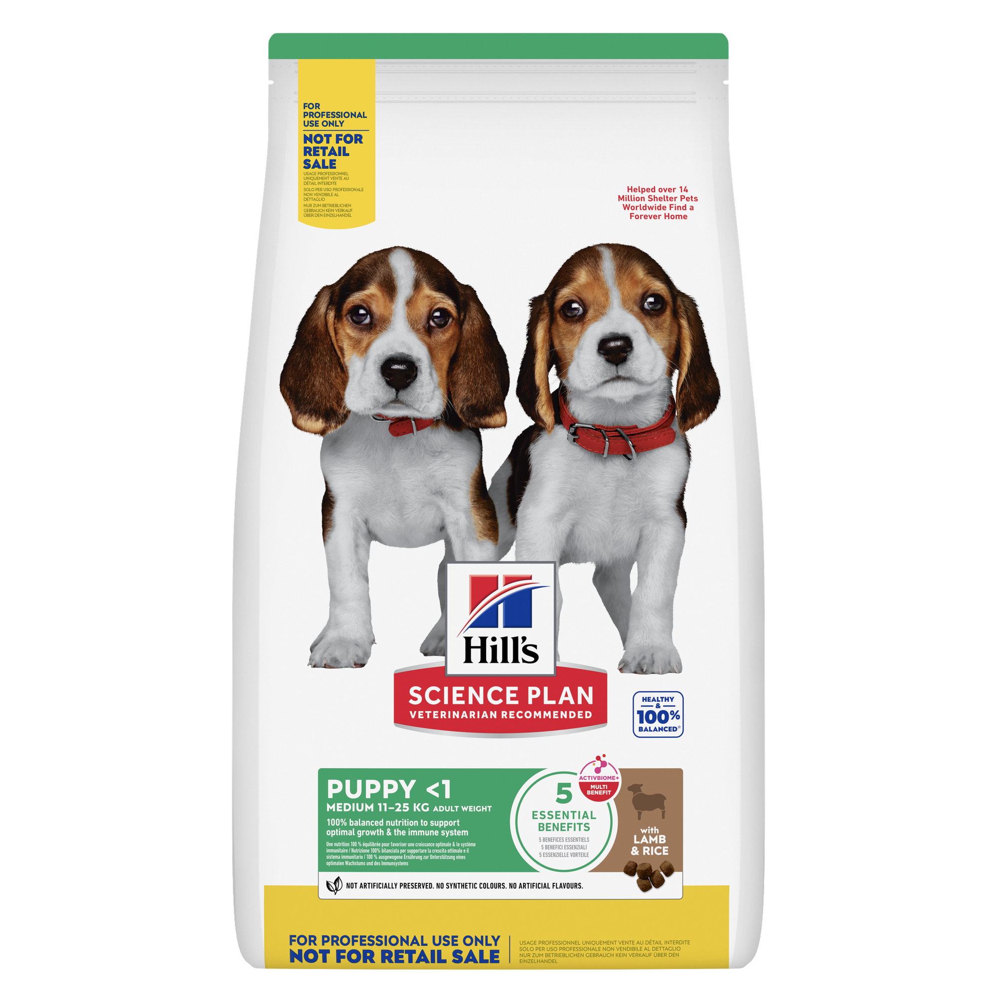 Medium Puppy barība Packshot