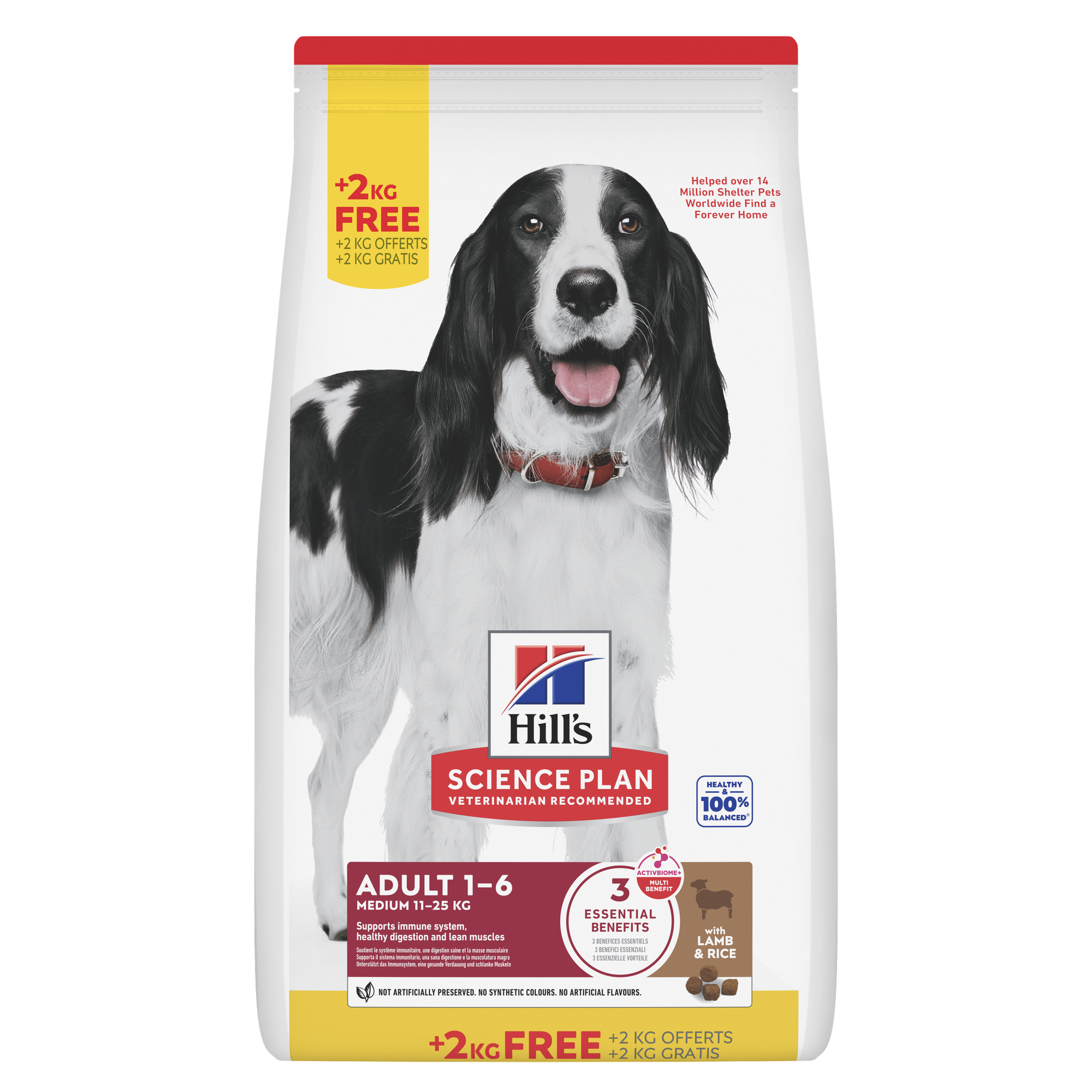 Medium Adult Dog Food Packshot