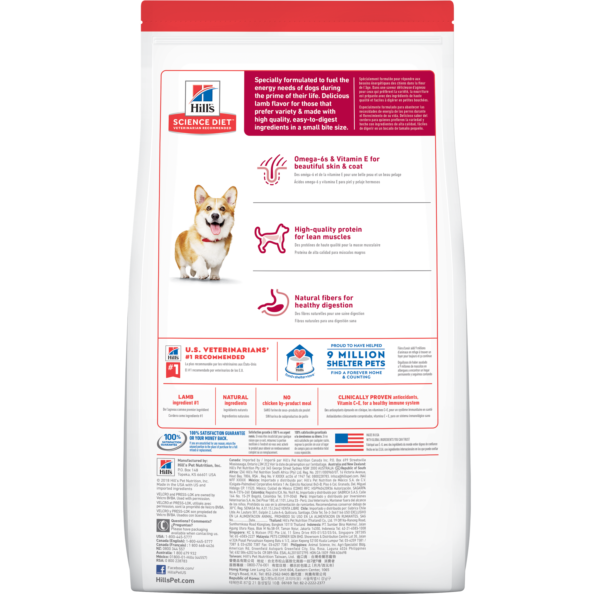 Adult Small Bites Lamb Meal & Brown Rice Recipe Dog Food Packshot