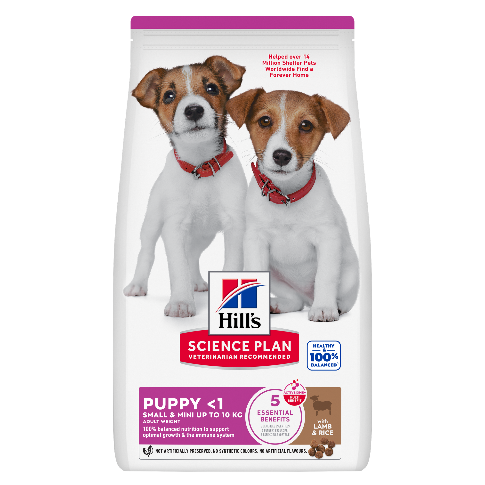 Small & Mini Puppy Food Packshot