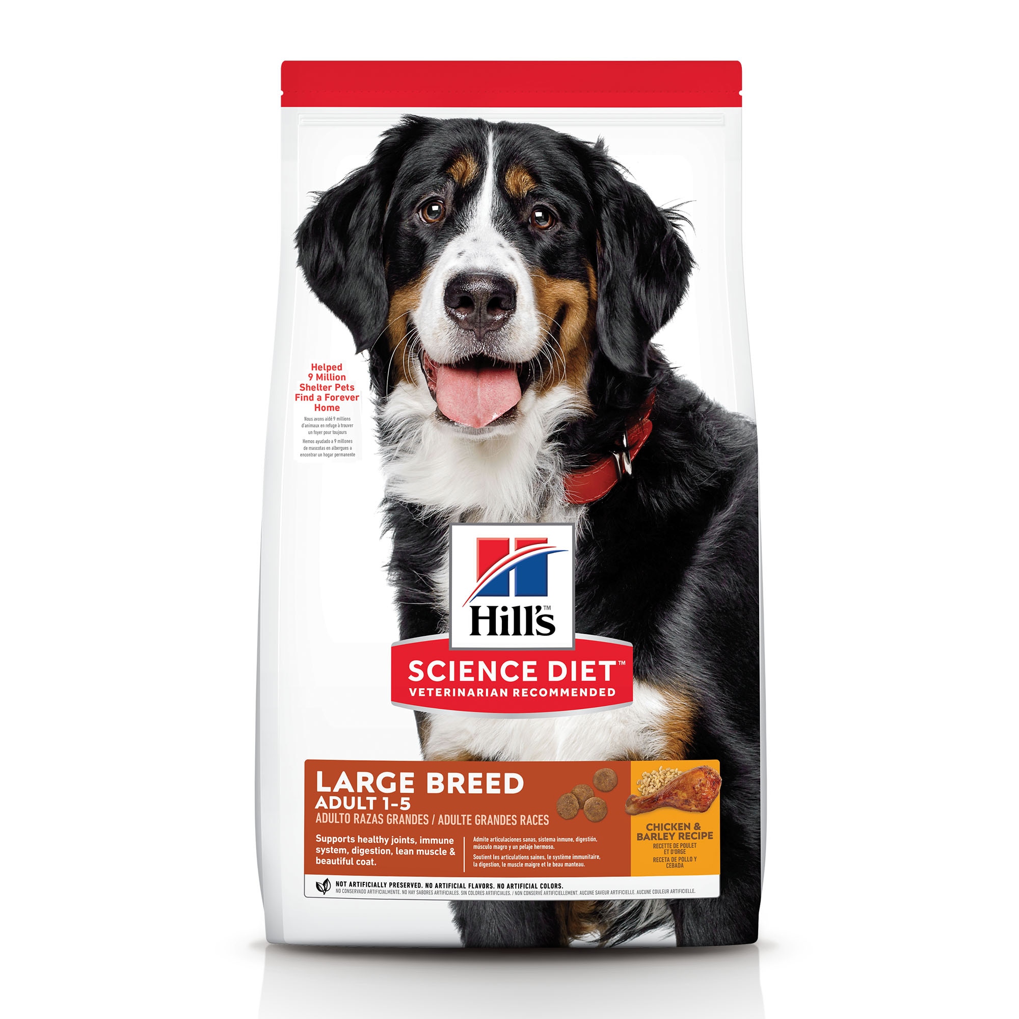 大型成犬 雞肉與大麥特調食譜  Packshot