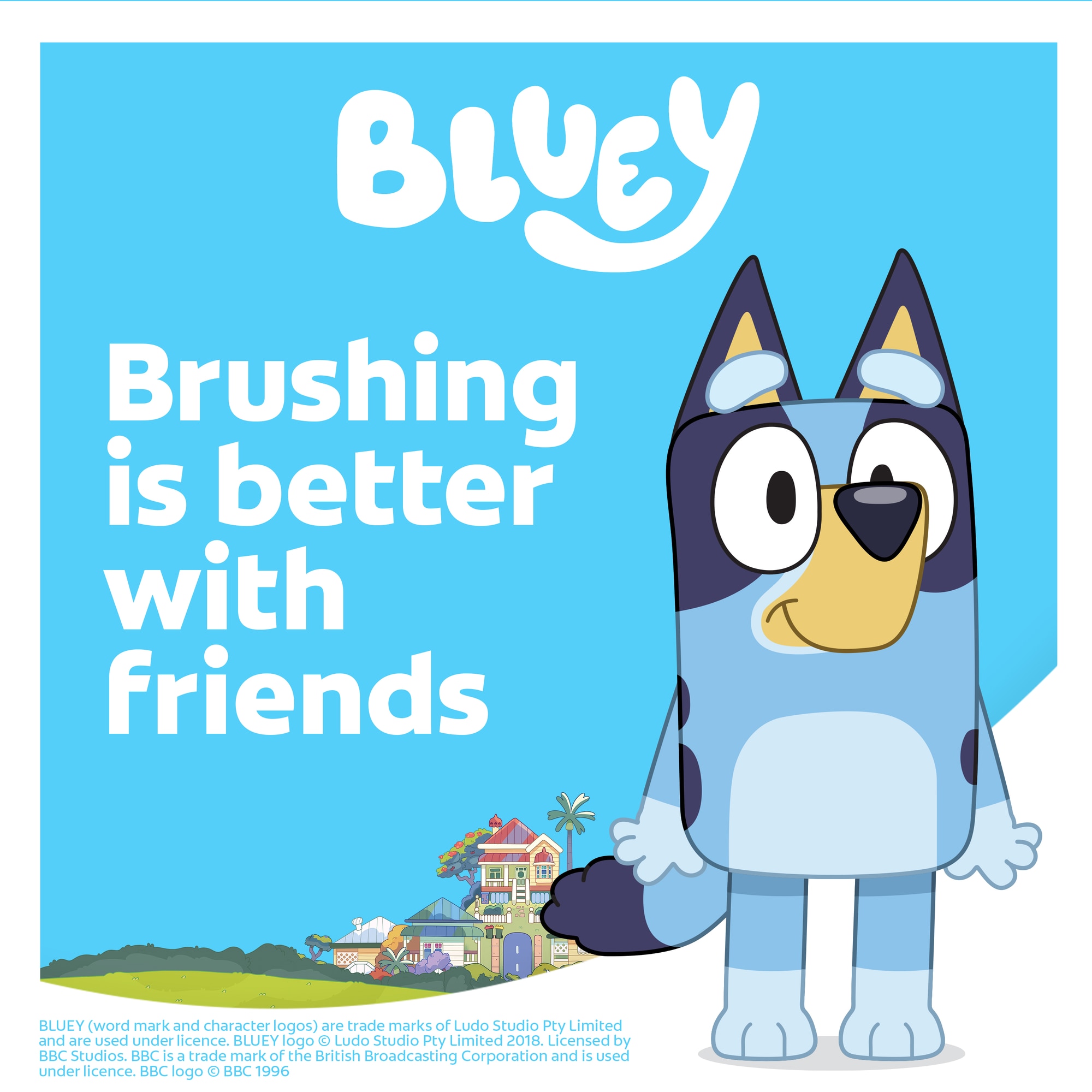 Oral Care SBR Mixed Campaign_Above the Fold