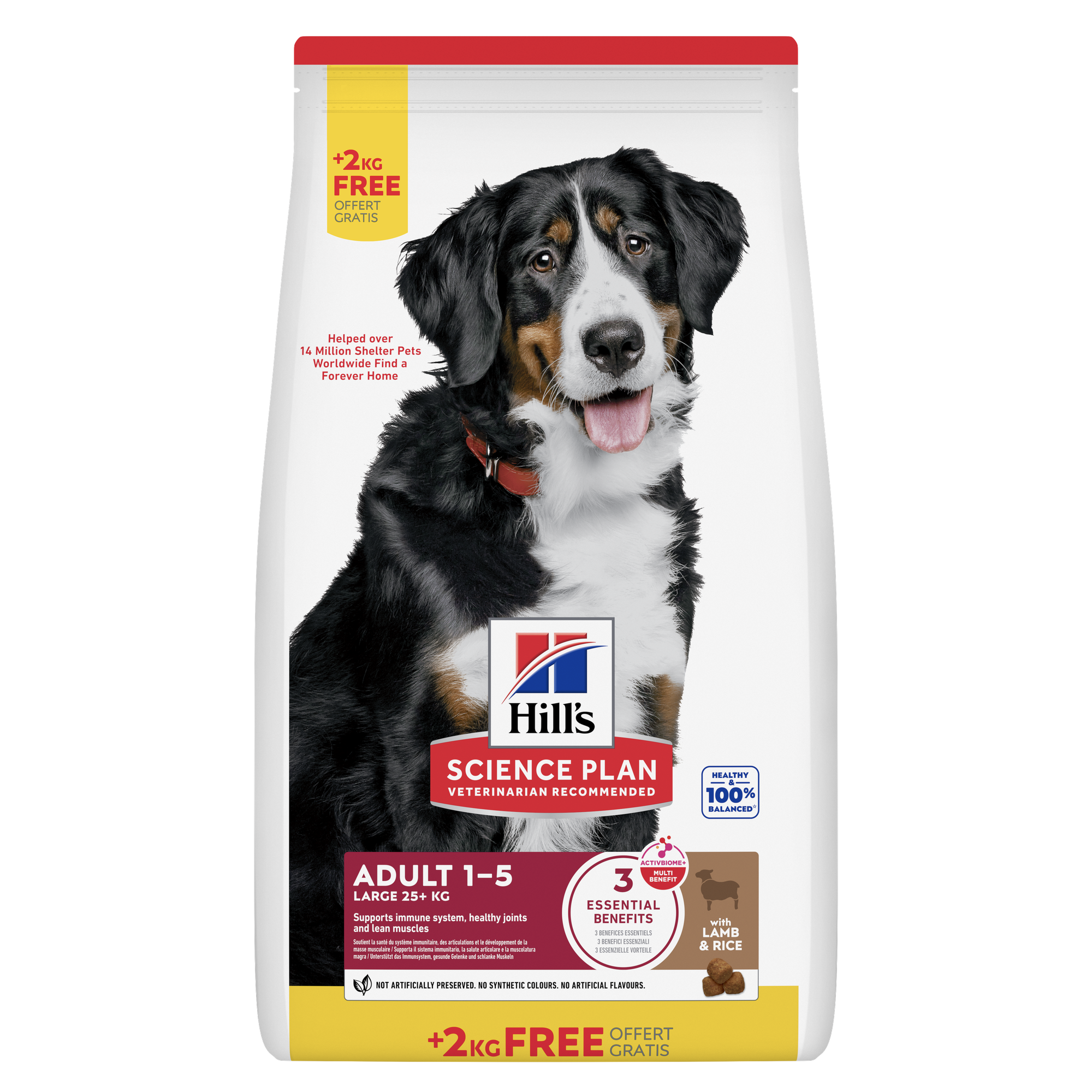 Large Breed Adult Dog Food Packshot
