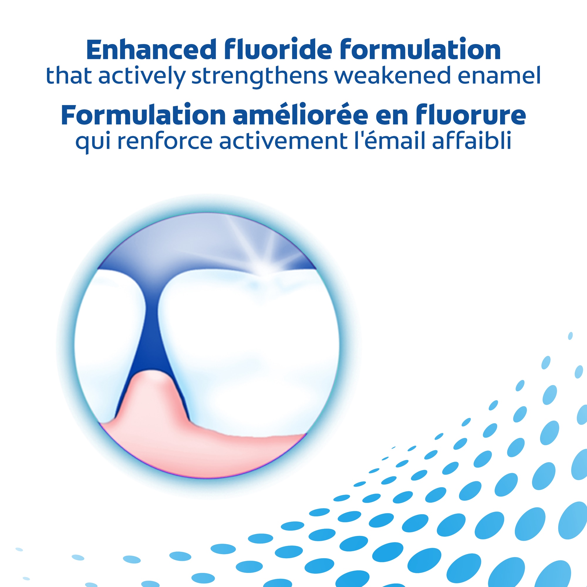 Colgate PreviDent Toothpaste HF PP Campaign_Above the Fold