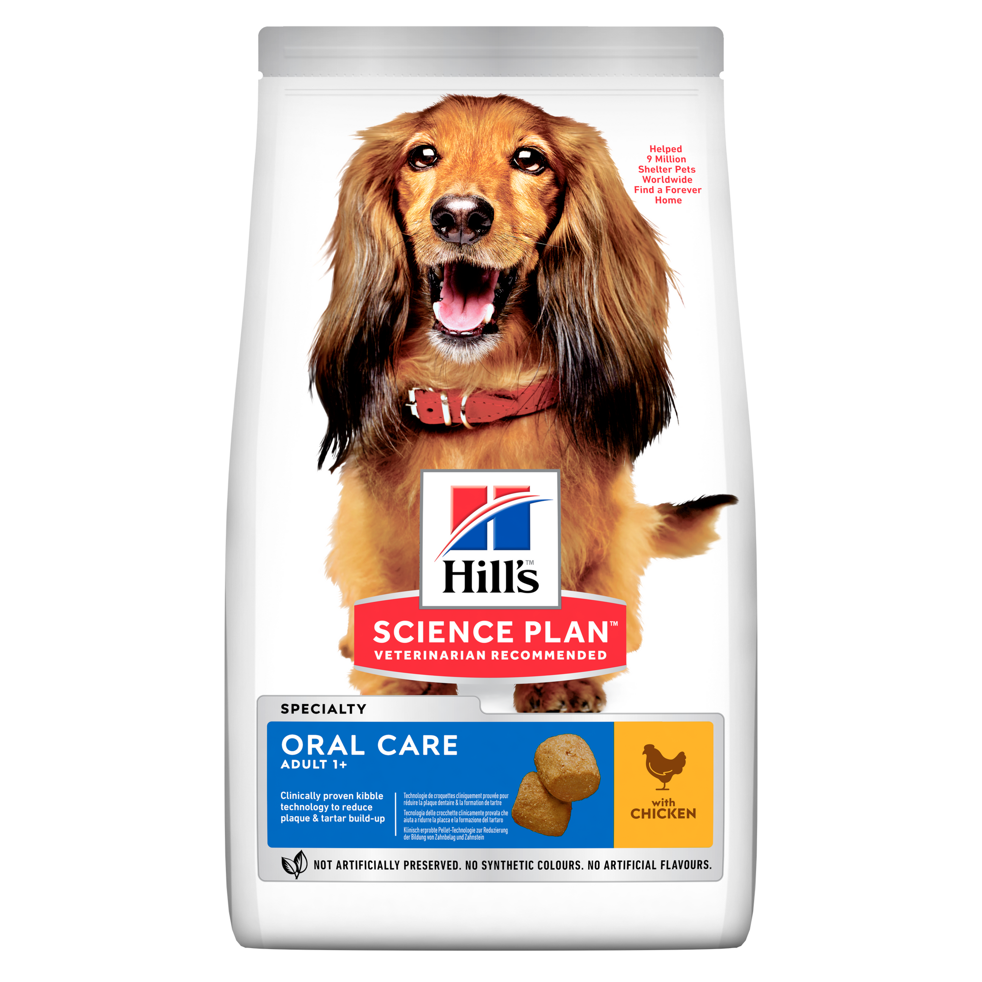 Oral Care Adult Medium Hundefoder Packshot