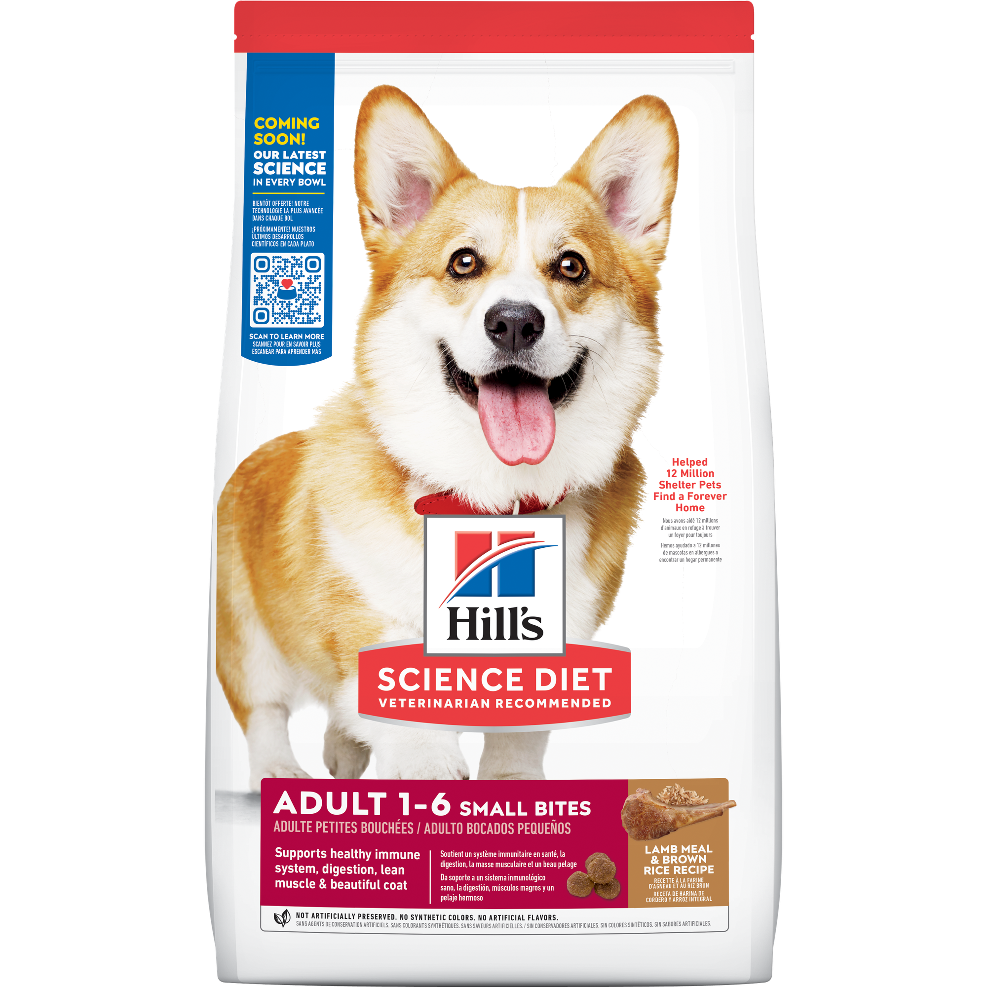 Adult Small Bites Lamb Meal & Brown Rice Recipe Dog Food Packshot