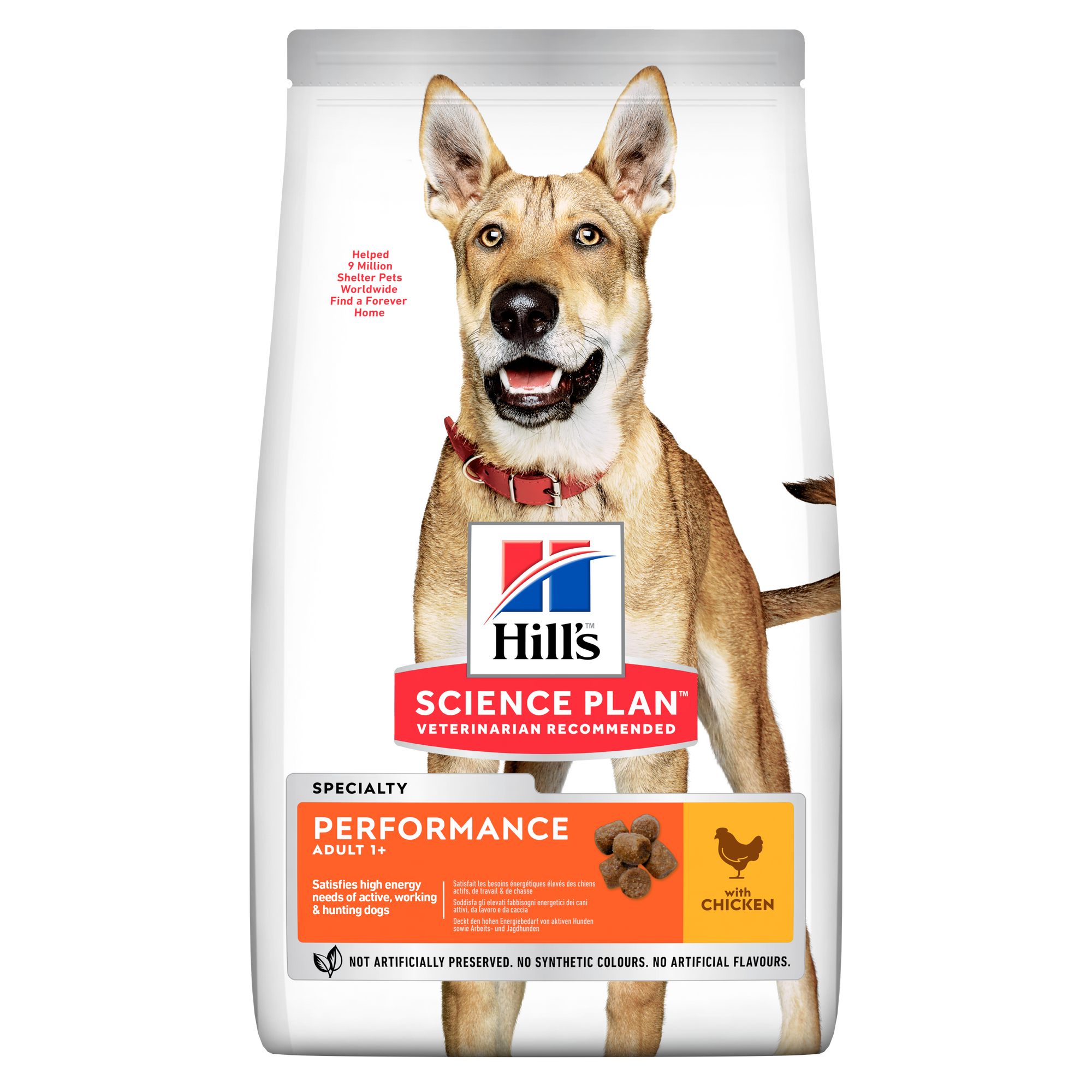 Performance Adult hundefoder med kylling Packshot
