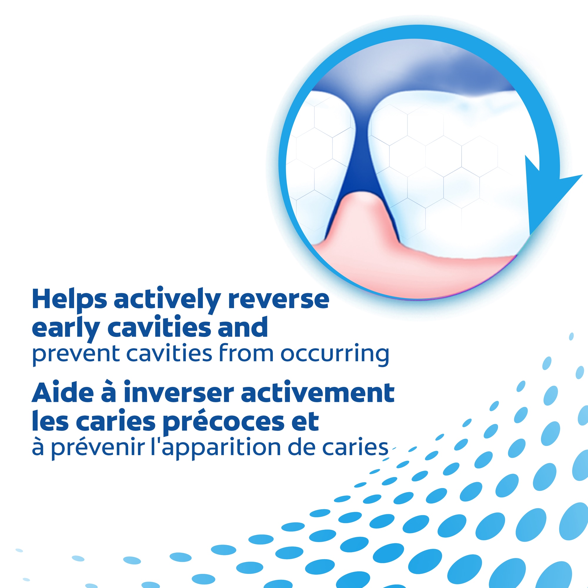 Colgate PreviDent Toothpaste HF PP Campaign_Above the Fold