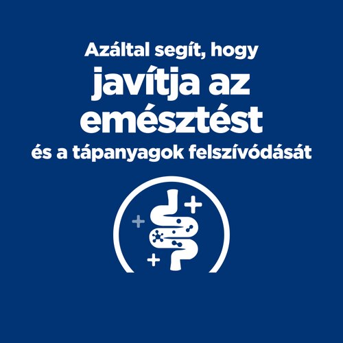 Fő indikációk