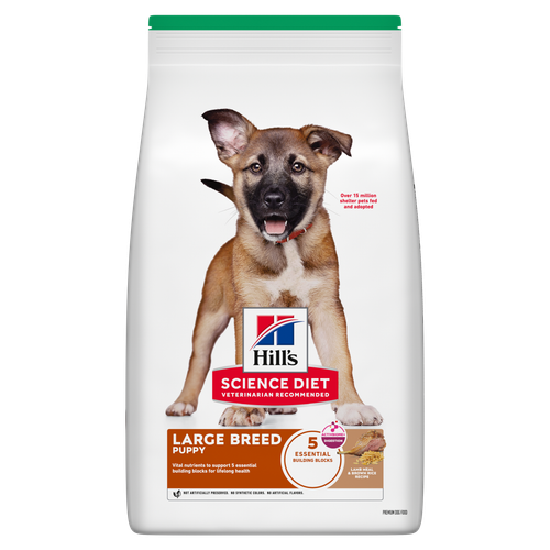 Puppy Large Breed Lamb Meal & Brown Rice Recipe Dog Food Packshot