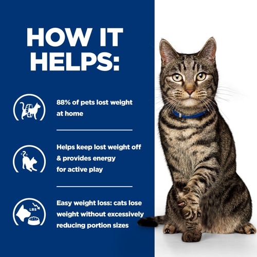Metabolic Cat Food How It Helps