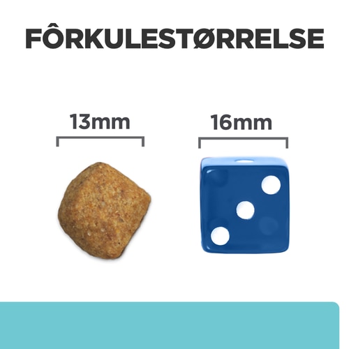 Bilde av fôret