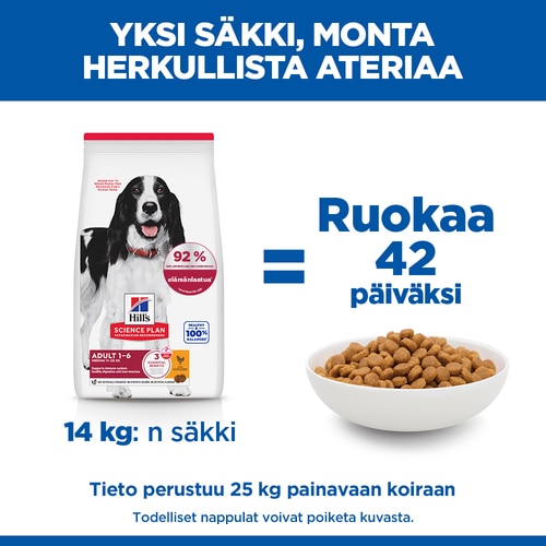 Medium Adult koiranruoka Marketin claim