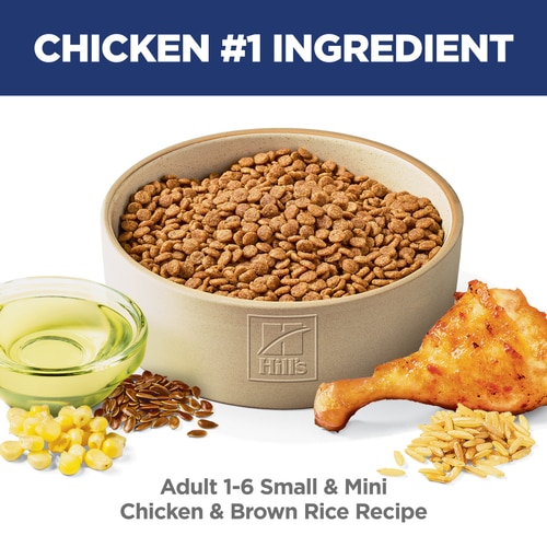 Adult Small & Mini Chicken & Brown Rice Recipe Dog Food Food Shot Scale