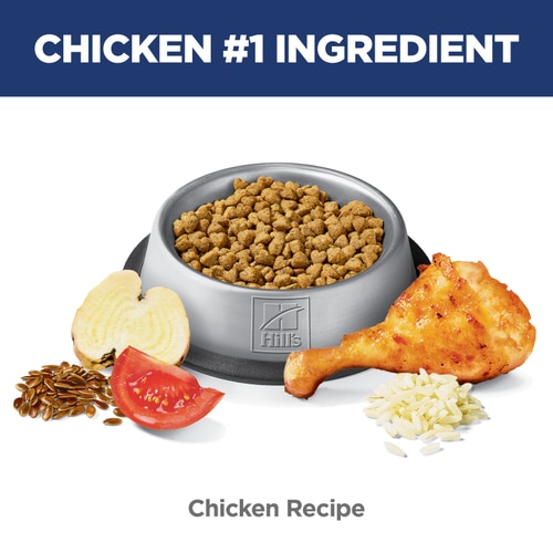 Adult Perfect Weight Chicken Recipe Cat Food Food Shot Scale