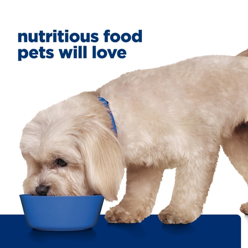 z/d Small Bites Hydrolyzed Chicken Flavor Dog Food Food Shot Scale