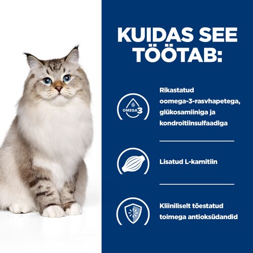 Kuidas see töötab
