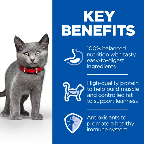Sterilised Kitten Food Key Benefits