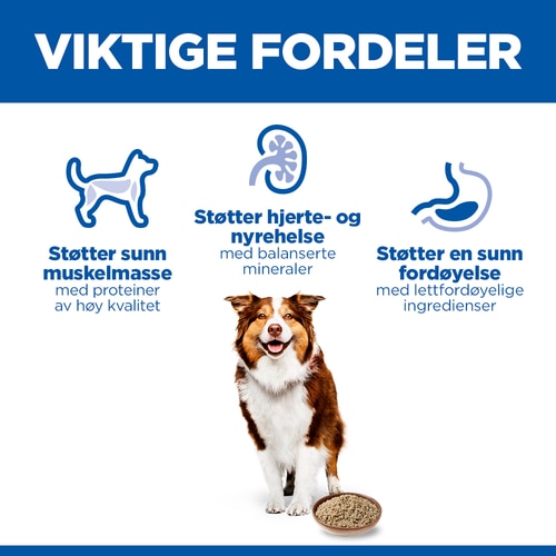 Mature Adult hundefôr Hovedfordeler