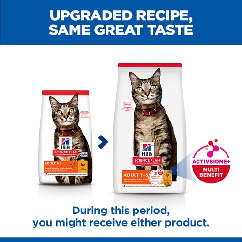 Adult Cat Food Key Benefits