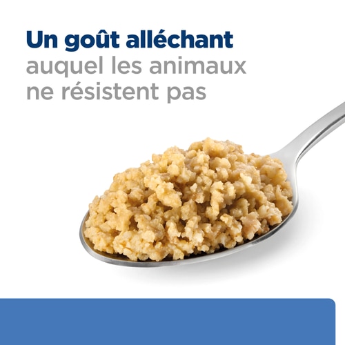 Derm Complete - Pâtée pour Chien - Saveur Originale Kuva ruoasta