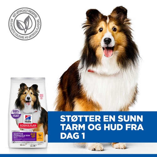 Sensitive Stomach & Skin Medium & Large Breed Adult hundefôr Viktige fordeler