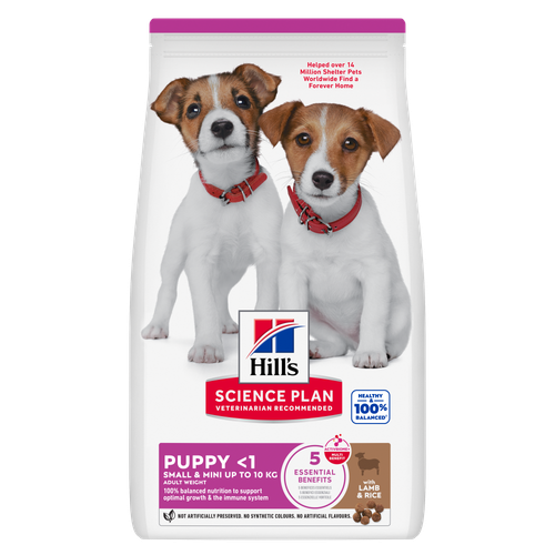 Small & Mini Puppy Food Packshot