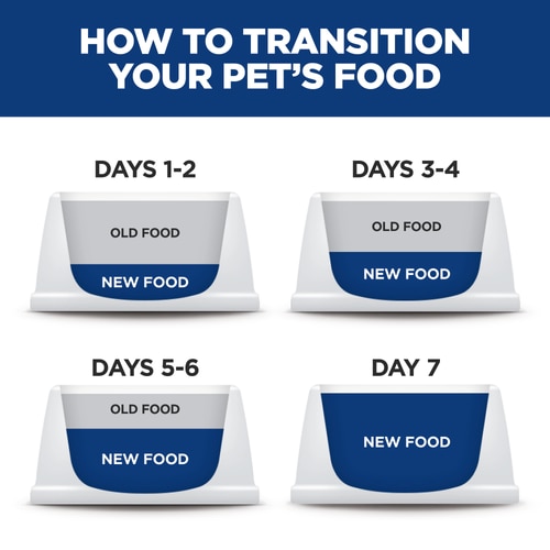 Adult Small Bites Lamb Meal & Brown Rice Recipe Dog Food Feeding Transition