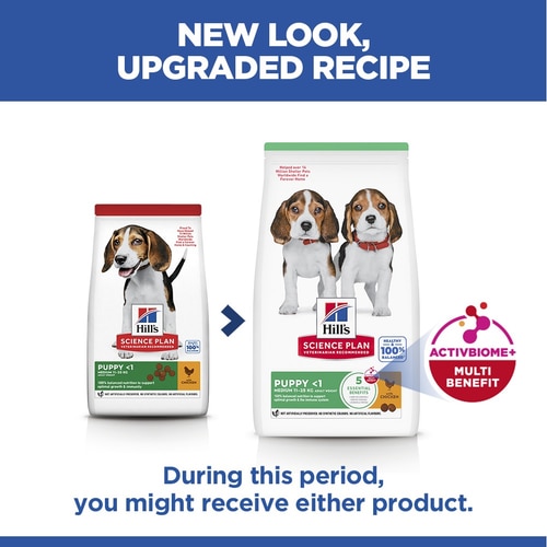 Medium Puppy Food Key Benefits