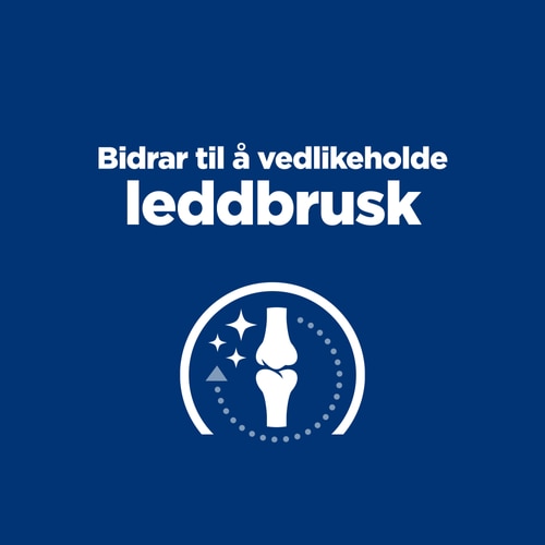 j/d hundefôr Viktige fordeler