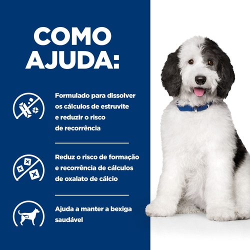c/d Multicare guisado para cão Como ajuda