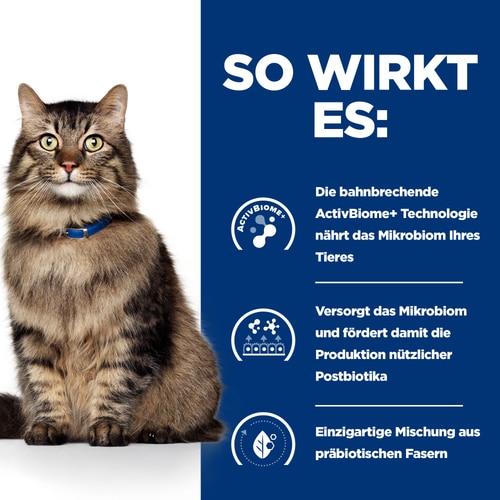 Gastrointestinal Biome Katzenfutter Wie es wirkt