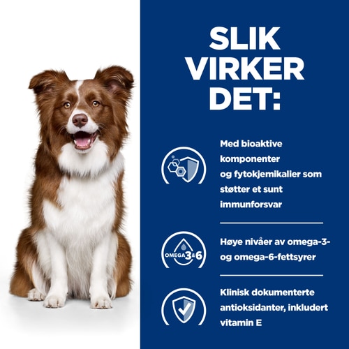 Derm Defense Stew hundefôr Hvordan det fungerer