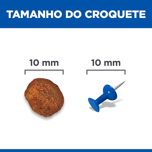 alimento para cachorro de raça média Imagem do alimento
