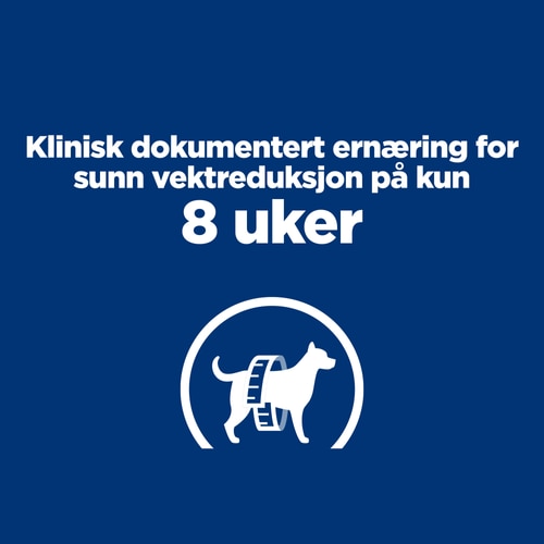 r/d hundefôr  Viktige fordeler