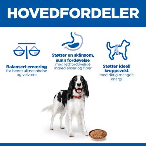 Adult hundefôr Hovedfordeler