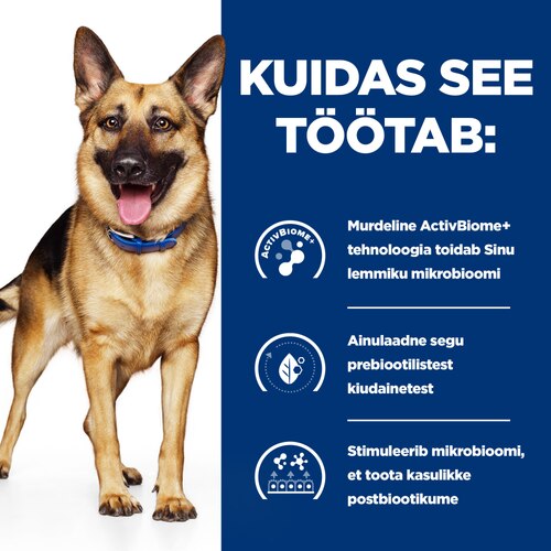 Gastrointestinal Biome hautis koertele Kuidas see töötab