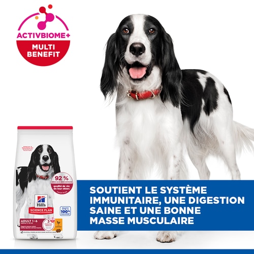 Adult - Croquettes pour Chien Adulte - Moyenne Race Allégations clés