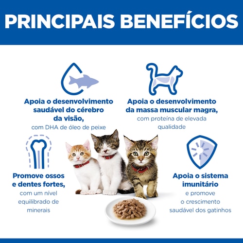 alimento para gatinho Benefícios principais