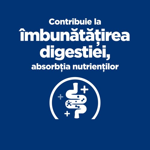 Afirmații principale