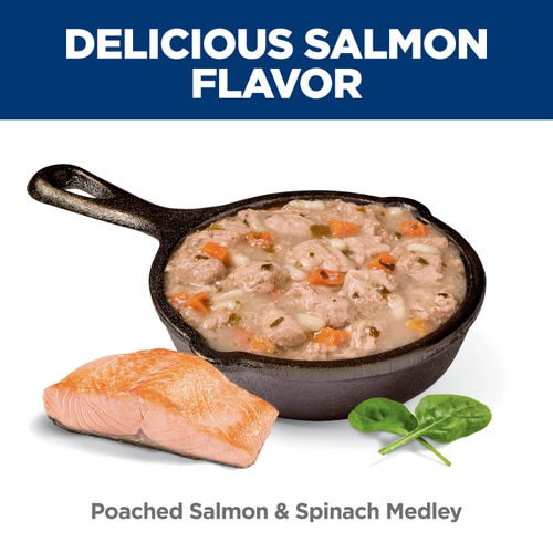 Adult Healthy Cuisine Poached Salmon & Spinach Medley Cat Food Food Shot