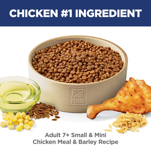 Adult 7+ Small & Mini Chicken & Brown Rice Recipe Dog Food Food Shot Scale