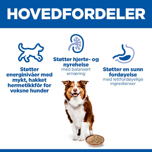 Canine Mature Adult hundefôr Hovedfordeler
