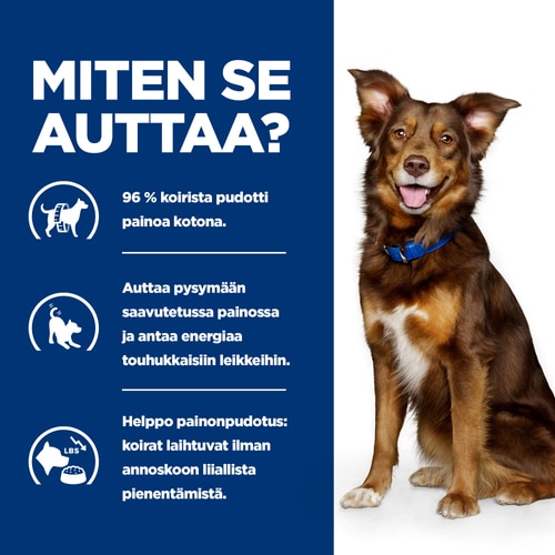 Metabolic -koiranruoka Miten se auttaa