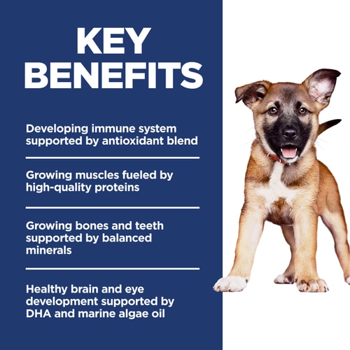 Hill's Puppy comida para perro cachorro razas grandes 12.5Kg Key Benefits