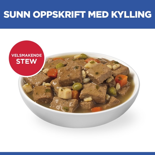 Adult hundefôr Stew Bilde av fôret