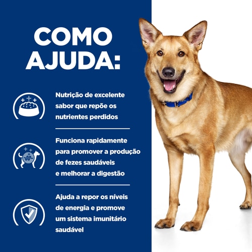 i/d alimento para cão Como ajuda