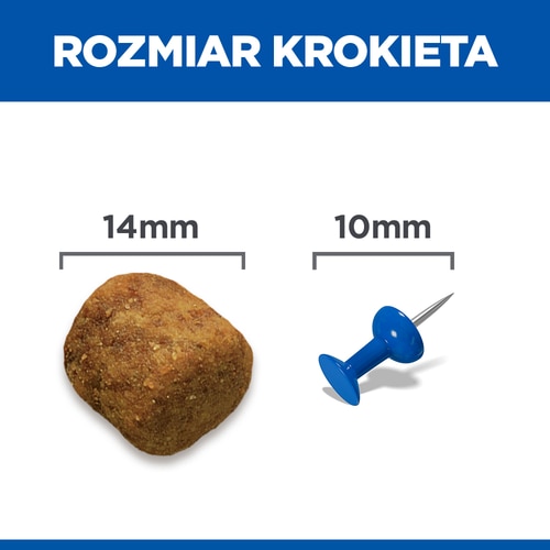 Kuva ruoasta
