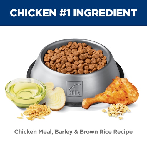 Adult Healthy Mobility Chicken & Brown Rice Recipe Dry Dog Food Food Shot